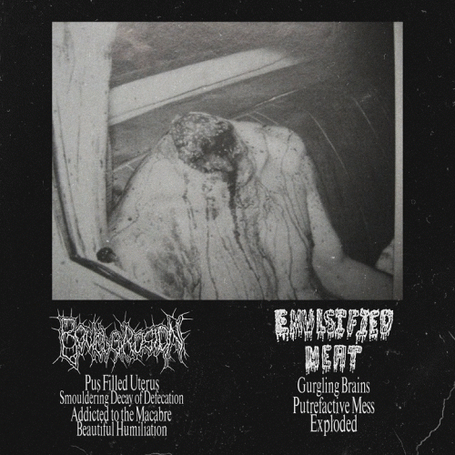 Bowel Erosion : Bowel Erosion - Emulsified Meat